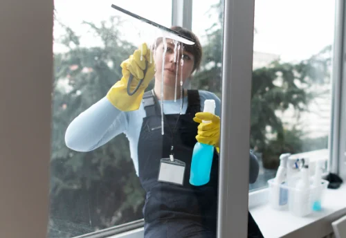 Nettoyage de vitres intérieures et extérieures à Vèbre